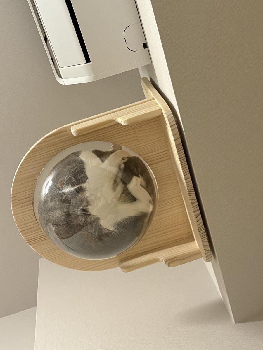 apple4288 tweet picture