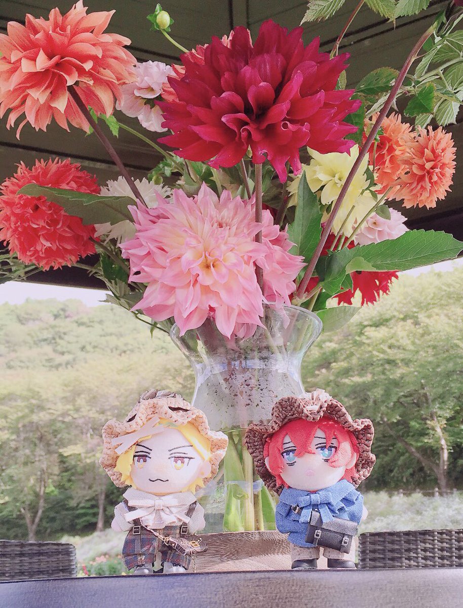 chiginui's tweet photo. お出かけおさなな
👒とったらひふぬの毛先ピーンなってて、愛 https://t.co/5Oi3Sp3I5j