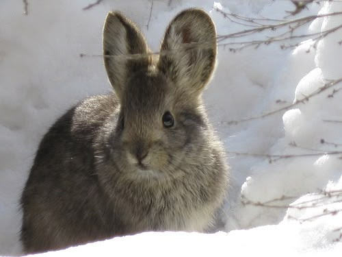 ashyaywoohoo's tweet photo. be careful... she can hear you... SHUSH... https://t.co/rQE0pvRRWQ