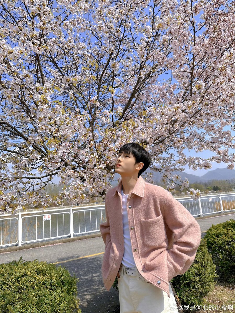 StAke_98f6's tweet photo. [贺寻宰さん、今日の笑顔がとても素敵です！応援しています]， https://t.co/JjCqX6iJuY
