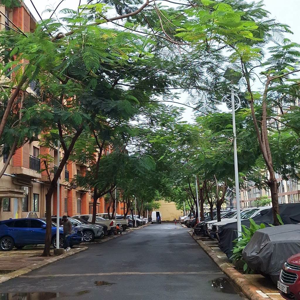 Africaguinee's tweet photo. 🏙️ À Kipé Centre Émetteur, le projet Plaza Platinium avance à grands pas ! Une cité déjà vivante et habitée, combinée à des chantiers qui progressent rapidement. 

Détails : https://t.co/MNm15A7Xz1

🔑  📞 Infos/Visites : (+224) 627 27 72 72
#PlazaPlatinium #Immobilier #Conakry https://t.co/EU04hw3bdU