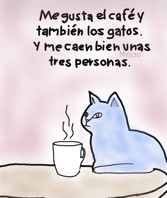 gatuna_Pilar_2's tweet photo. ¿Identificado? 😸 https://t.co/rS7xFv8Yhz
