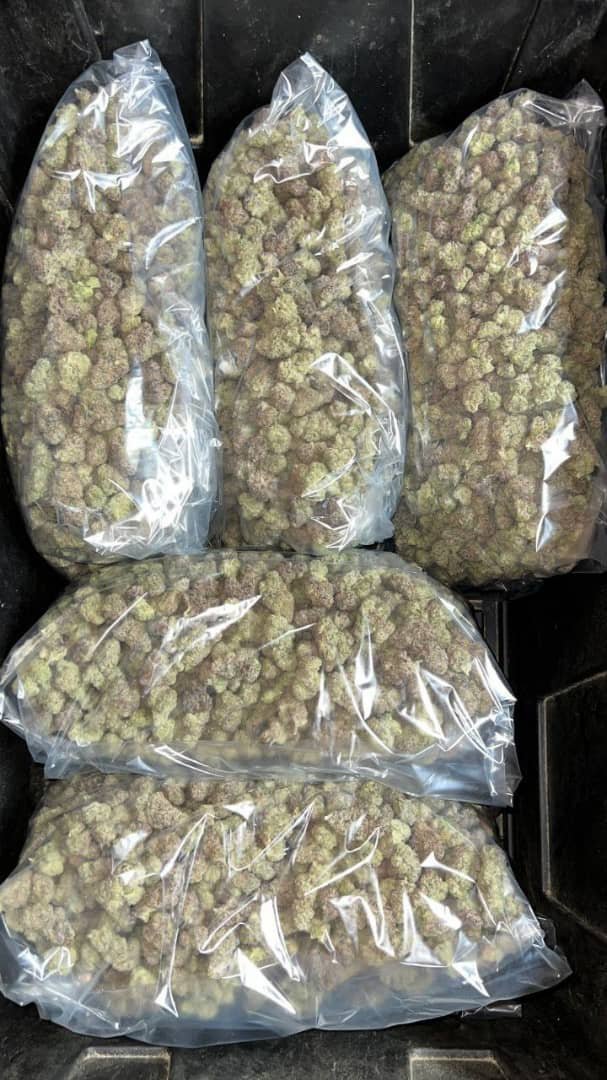 culturekus's tweet photo. Live Order 📡💰
Weed Miami weed Dallas Weed Atlanta weed San Francisco Weed Seattle weed Calgary weed Ottawa weed Monterrey weed Puebla Weed Brasília Weed Santiago weed Caracas weed Quito Weed Montevideo Weed Havana https://t.co/NqVOZsQPAe