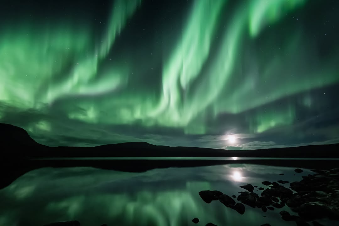 DiscoverFinland's tweet photo. The Great Show in the Skies: The Northern Lights – Where and when to best see them in Finland
https://t.co/7y6LmZpvvG

Photos shared on IG by @SantasHotels, katlinwildframes, heidi.koivula, and akukankaanpaa: https://t.co/bQxFmo0HOi