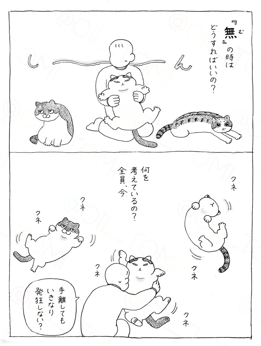 takara_o_takara's tweet photo. 猫エッセイの再掲です！
ごんたとウリ&amp;モモとの出会いのエピソードをまとめています🐱♡🐱🐱

２巻発売前のおさらいにどうぞ！（その1） https://t.co/vaVkIuH26a