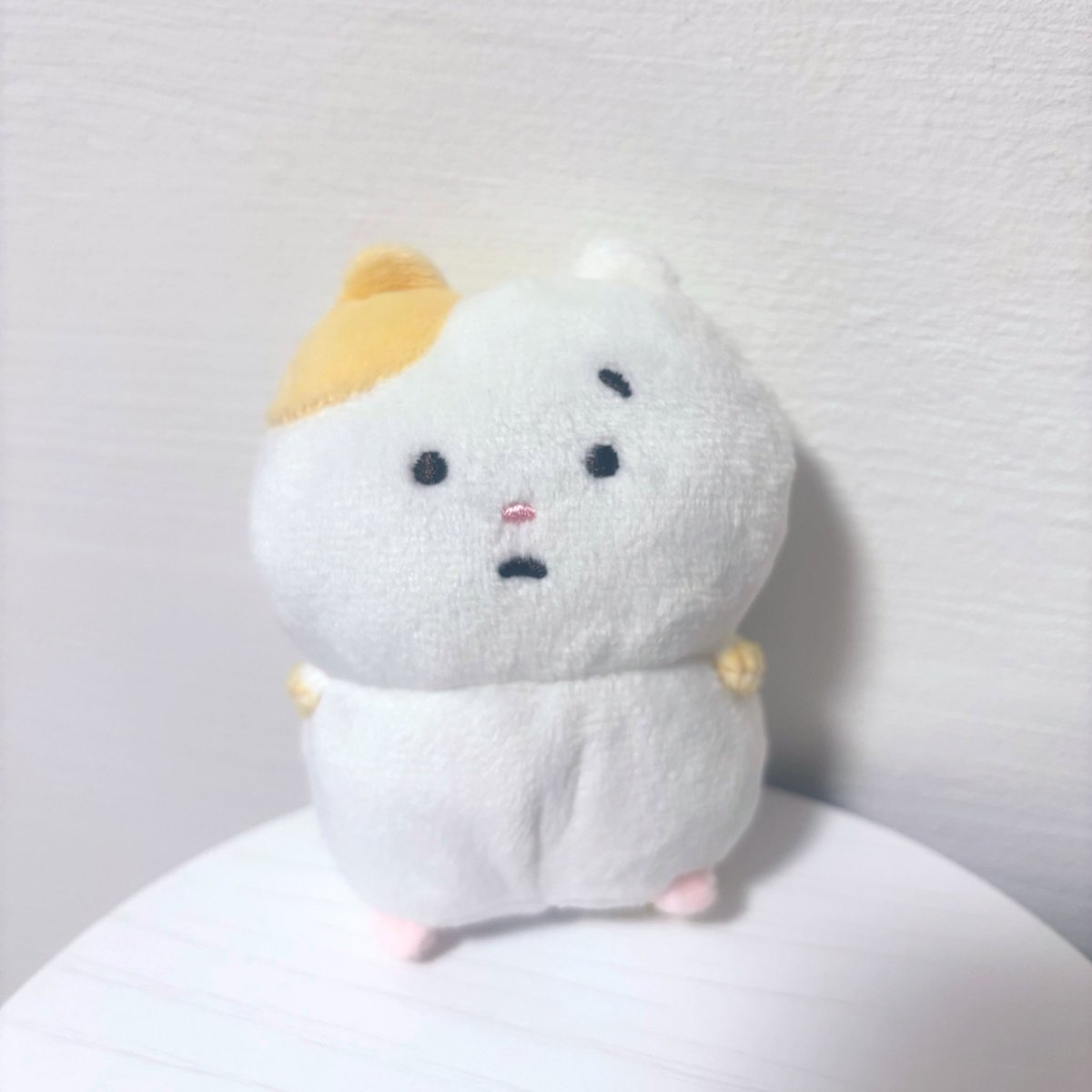 aomaru_u43's tweet photo. #まいにちはむちま 
はむちまのぬいちゃんゲットした🫶🏻🫶🏻🫶🏻
たくさんお出かけするよ〜！！ https://t.co/9jC2S8YIgM