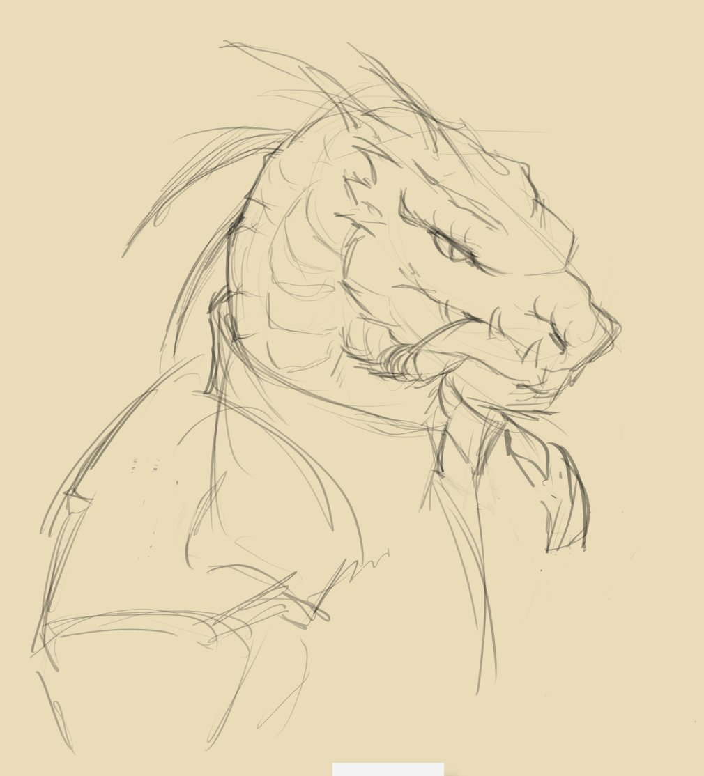 SonngCS's tweet photo. portrait sketch of an rpg character in my group https://t.co/gd7GPG4Nbw