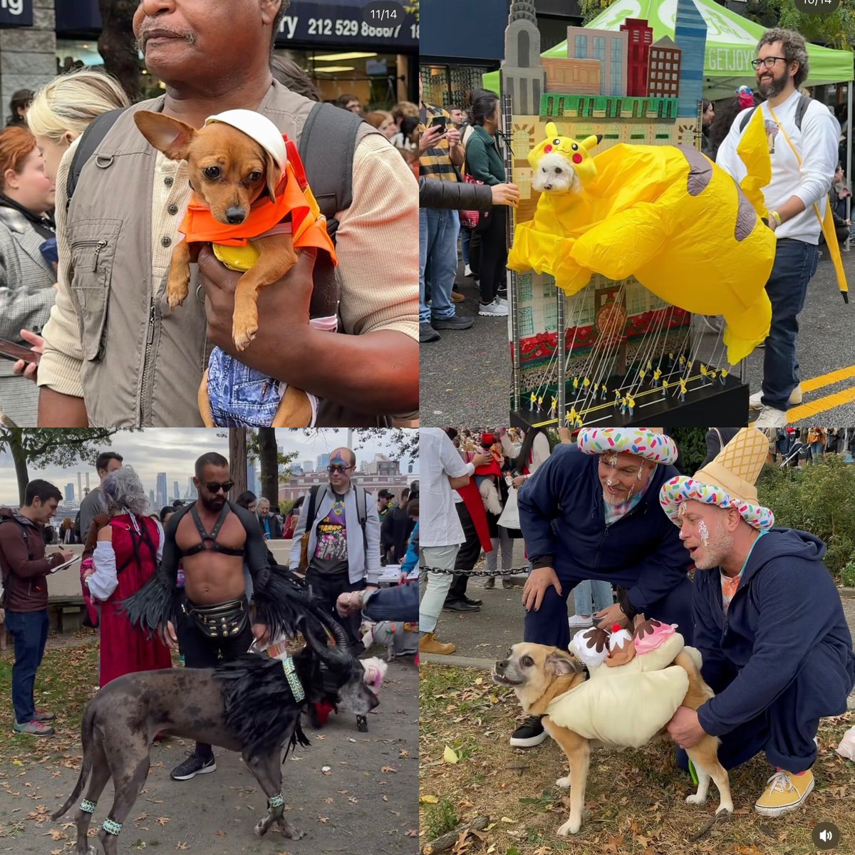 Lucifer_yoshio's tweet photo. 海外のハロウィン犬可愛すぎる🐶🎃
今年は何着せよう🐶 https://t.co/pzc5twwuHn