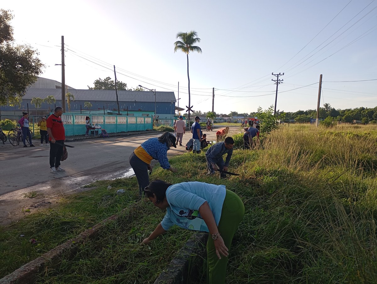AnabelRamrezLp2's tweet photo. Realizamos trabajos voluntario en chapea de las  áreas verdes en #PorCiroRedondoTodo. #UnidosXCuba #SinPetderUnDía https://t.co/UR9dC7cG9G