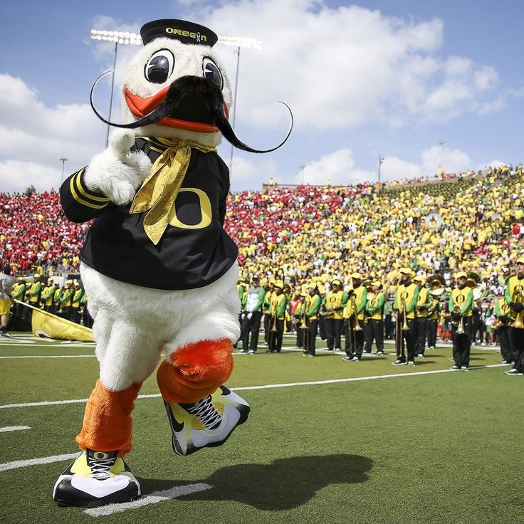 NicoV823's tweet photo. @midnitelogic @wstrojan3 @oregonfootball Been doing it for years. Your team gets butt fucked by Oregon every year. No one thinks about soft ass spoiled children https://t.co/0kCaLuCNtF