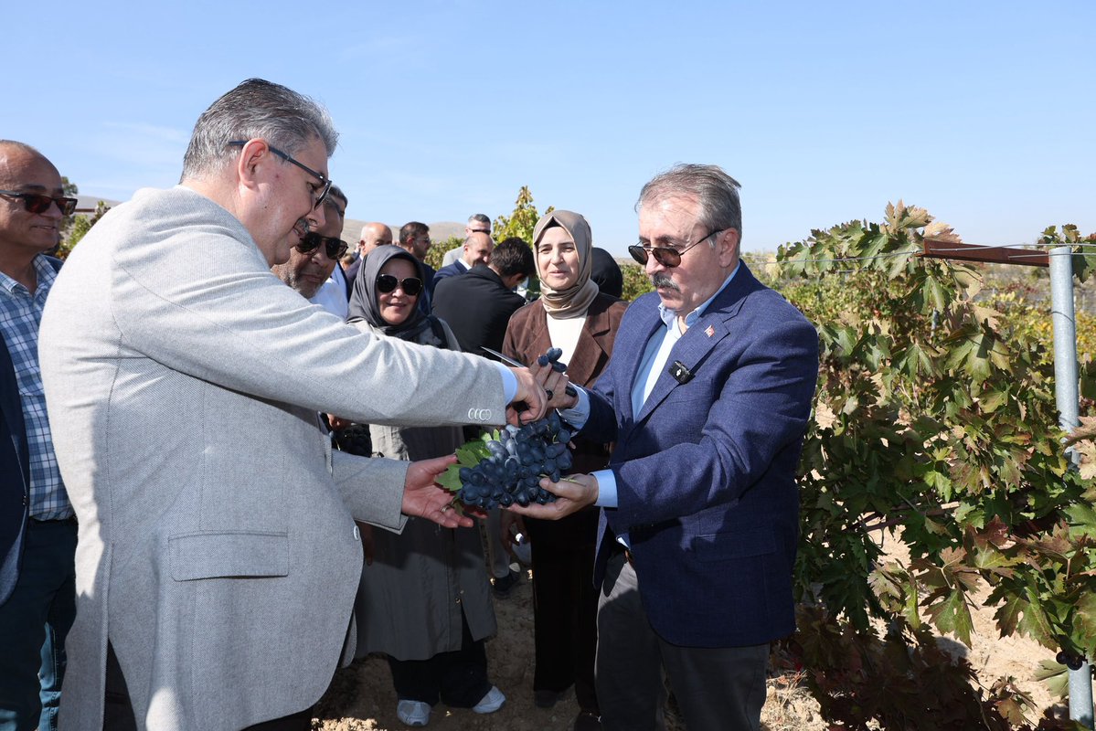 Mustafa_Destici's tweet photo. Memleketim Günyüzü Gecek köyümüzde kendi bağlarımızın bağ bozumu ve pekmez bereketini; Eskişehir Valimiz Sayın Dr. Erdinç Yılmaz, önceki dönem Aile ve Sosyal Politikalar Bakanımız, 28. Dönem Eskişehir Milletvekilimiz Sayın Ayşen Gürcan ve diğer misafirlerimizle birlikte yaşadık.
Hayırlı ve bereketli olsun inşallah 🍇