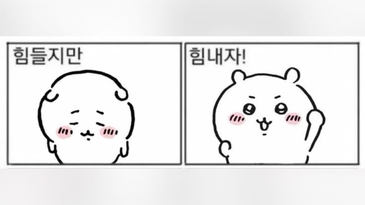 ishrx_103's tweet photo. 내일 부터 금요일까지 시험쳐요..ㅠㅜ
아파서 준비 잘 못했지만 잘 하고 올게요! https://t.co/OEx92YjgzS