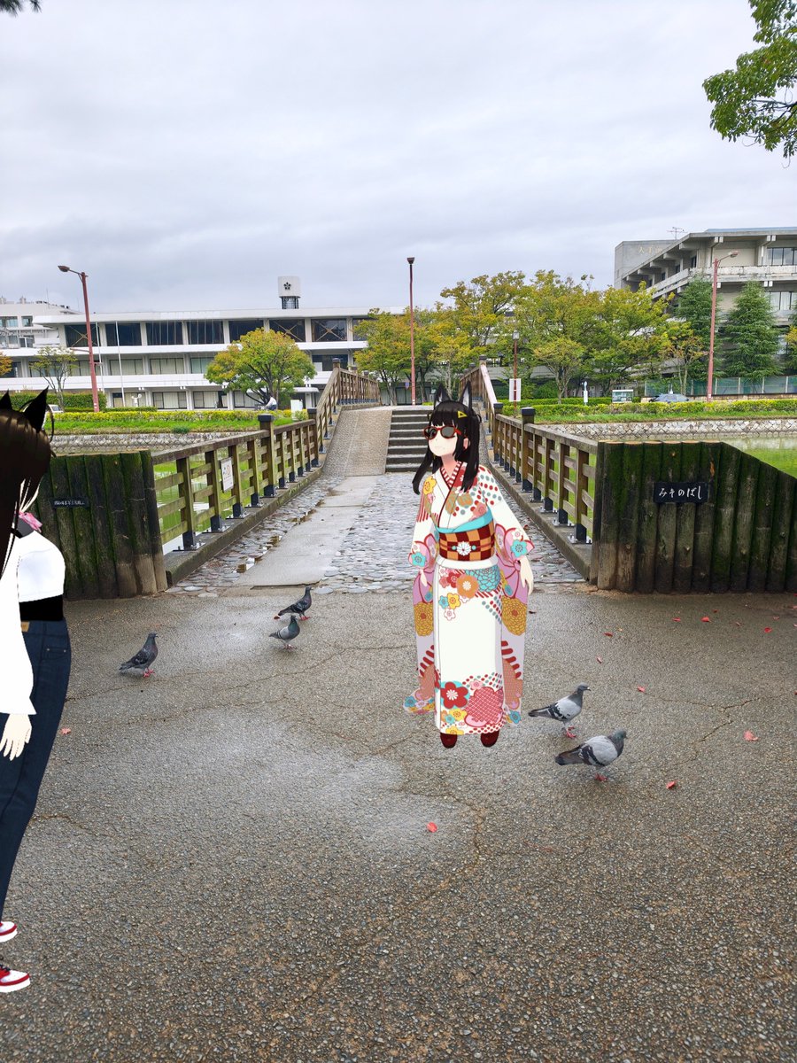 MasaX2man's tweet photo. 🟥妹「この旅3回目の丸亀城」
🟦姉「今回は曇り空。みそのばしから入場です」

#アバター旅ログ

橋を渡るなり鳩がぱたぱた飛んできます🕊️　わぉ。
かつてお堀には白鳥がいて、動物園もあった丸亀城。
今も変わらず鳩がいるのは、なんだかほっこりします。

🟦「学校のマラソンでもよく走った道。城内一周は約1kmなので、距離も分かりやすいんですよね」
🟥「今日は目的があるので、どんどん進むよ」

《勝手知ったる、我が町のお城》2026/9/27①