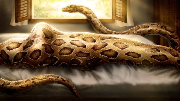 ChurnedPrez's tweet photo. @VoraciousAragon As the serpent leaves the room and in time as her sister comes to check on Makoto..

"Mgm..! Nhmp...!"

Gradually, she slides down towards his stomach which groans and gurgles against the bulged form. https://t.co/WHaFwidpqa