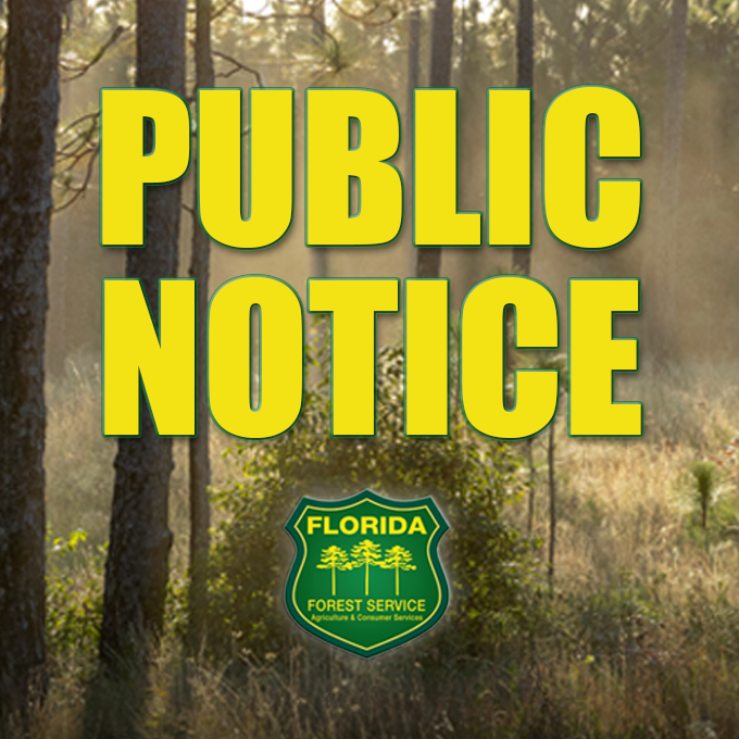 FLForestService's tweet photo. FFS is asking Floridians in areas impacted by Hurricane Isaias to use caution when burning debris piles. Since smoke can travel great distances, be mindful of your neighbors as many are still without power and most homes have open windows. For more, visit https://t.co/6rP2nq5N7X https://t.co/EPiByEZxPr