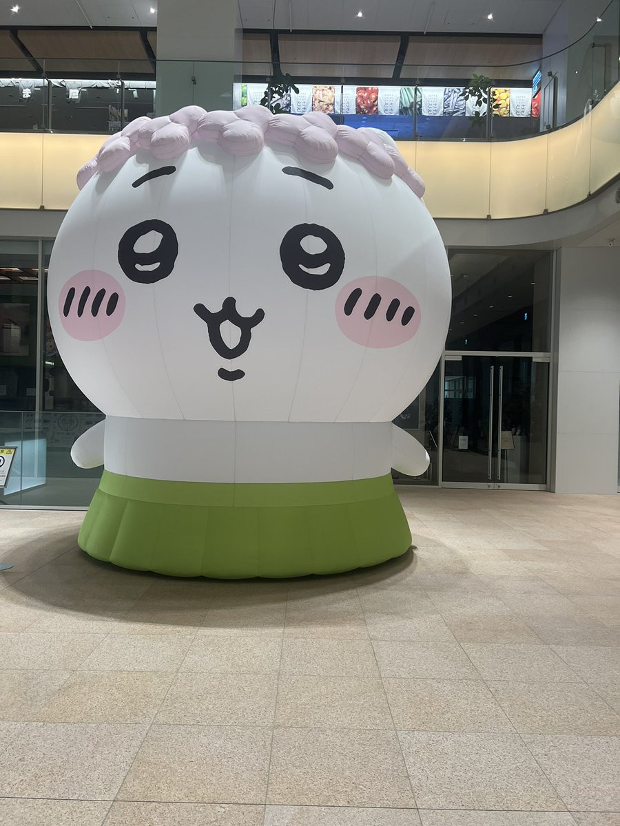 hiji_shinyogayo's tweet photo. これはもう、ちいかわじゃなくてでかかわ https://t.co/DM7gAh6RkB