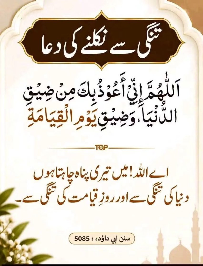 QuranMyriZindgi's tweet photo. الٰہی آمین https://t.co/xnDQT2li8n