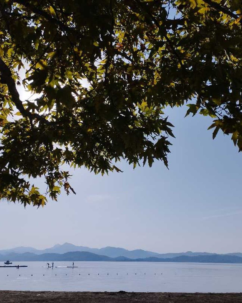 MuvahhidFani's tweet photo. Delta Masası, 3. hafta

Bu sabah Delta'da hava güneşliydi. İki kedi masayı ziyaret etti. Biraz Hesse okuyup tefekkür ettim. Güzel bir gündü.

— Klingsor'un Son Yazı

Masa her Pazar 10:00'da Delta'da. https://t.co/Zmn9jtaMF2