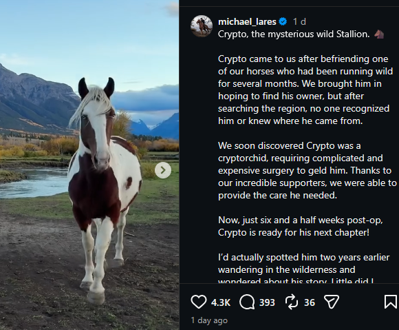 Viruscoinpf's tweet photo. This famous horse woman adopted this majestic ass horse and named him "Crypto" and he's going viral.

Not because of his name, because of how majestic he is, she keeps posting about him and all of his posts reach 1m+ views.

Could become a giga viral animal runner, AND he's named crypto 

https://t.co/W5zr0AgKRL