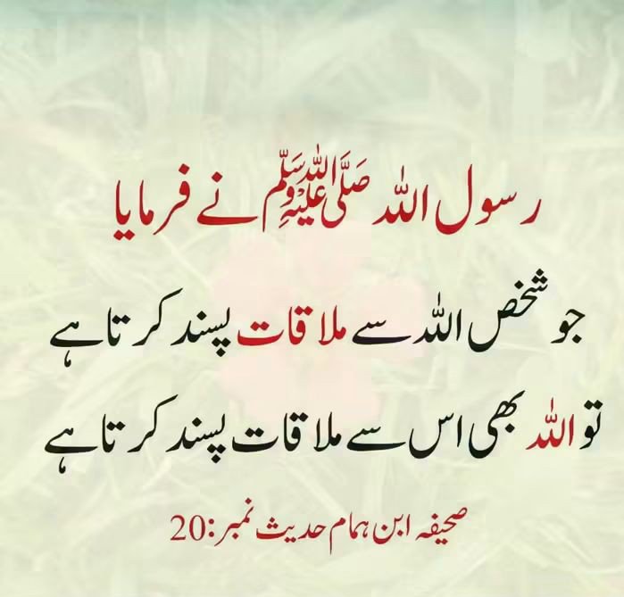 Ajmal_804's tweet photo. رسول اللّٰہ ﷺ نے فرمایا https://t.co/5x1N4Y6ykd