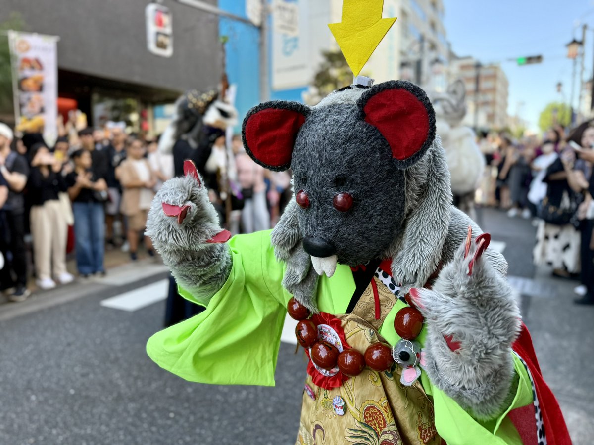 Rai5Tosso's tweet photo. 神楽坂駅に着いたら、
なんぢゅか頭の上に矢印が生えてきたんぢゅよにゃぁ🐭😺💦

お写真撮影は、
浜ん様 （@yobisuteOK）さんぢゅにゃあ🐭😺🙏
#化け猫フェスティバル https://t.co/wbkpzfcm9o