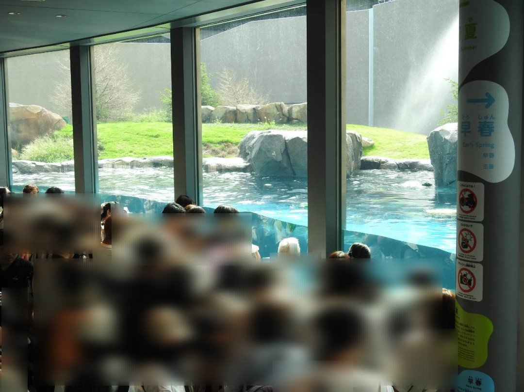 RsONN2yEzmMHtRy's tweet photo. 天王寺動物園 新ホッキョクグマ舎に思うこと 「時代にそぐわない…」

①動物福祉
2エリアともプールは全てガラスで客に面しており、客の刺激行動を想定できなかったか
もし子供ができた場合、さらに客の行動はエスカレート
物理的に客との距離をとる設計はできたが、優先したのは何か
張り紙を設置 https://t.co/qNsffAz5VK