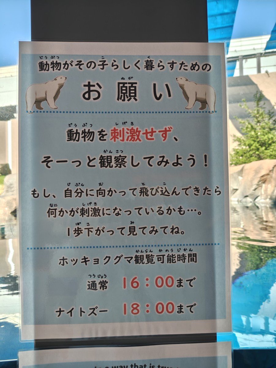 RsONN2yEzmMHtRy's tweet photo. 天王寺動物園 新ホッキョクグマ舎に思うこと 「時代にそぐわない…」

①動物福祉
2エリアともプールは全てガラスで客に面しており、客の刺激行動を想定できなかったか
もし子供ができた場合、さらに客の行動はエスカレート
物理的に客との距離をとる設計はできたが、優先したのは何か
張り紙を設置 https://t.co/qNsffAz5VK