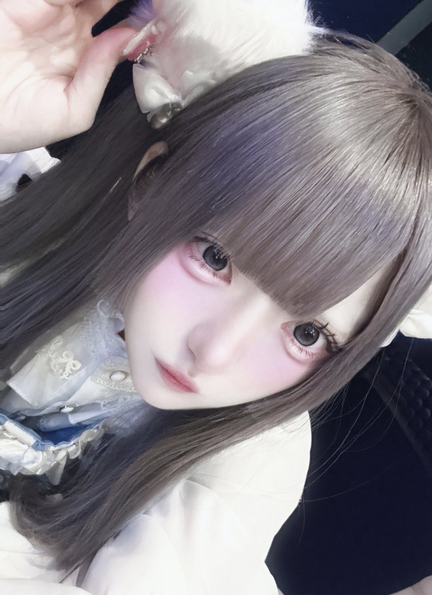 029pwp's tweet photo. にゃーん♡ https://t.co/avNa6b3vLr