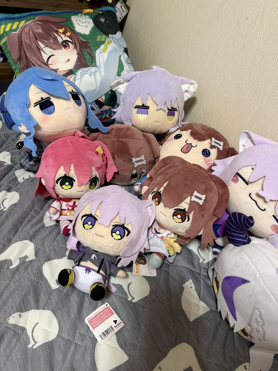 reru_maa's tweet photo. ホロ関連のぬい増えてきた https://t.co/cwxgl5t5ci
