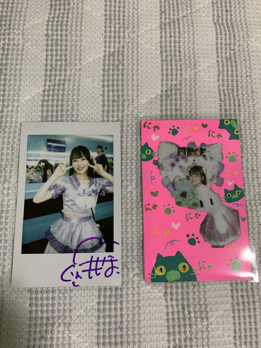 Q8jsa5's tweet photo. ライブ行くのは1ヶ月ぶりだったけど僕通ワンマンで見かけてるからあまり久しぶりの感じしなかった｡あれ？なぁちゃん影分身使えるの⁉︎みけちゃんの宿チェキやっと戻った､猫いっぱいで可愛いけど真ん中の大きい三毛猫が1番可愛いね！
#はなまるなぁちゃん 
#みけみっけ隊 
#もふこめ https://t.co/kiN4w9JorW