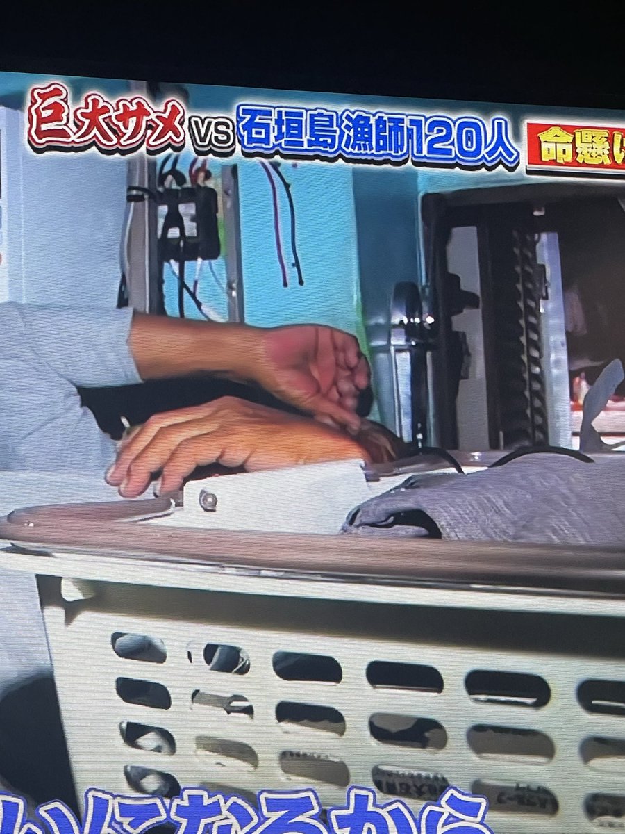 ayutv_0831's tweet photo. 面白いなぁ🤣
サメだらけ https://t.co/oPj4nPuXVm