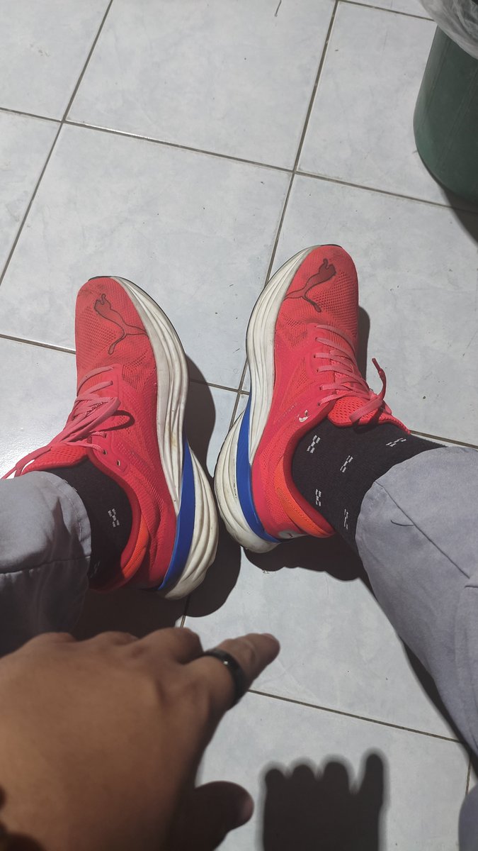 ZhixGenC's tweet photo. Cant go out without wearing one of this bad boys! https://t.co/fAK6mK4xnV