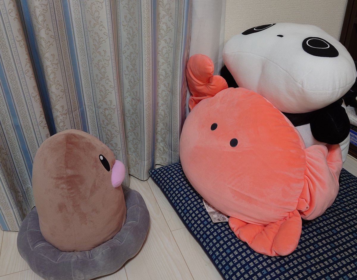 godBucho's tweet photo. 野生のディクダがとびだしてきた！
🦀ｷｷｰ! 急ブレーキ！🐼 https://t.co/3rdb4nFjIw