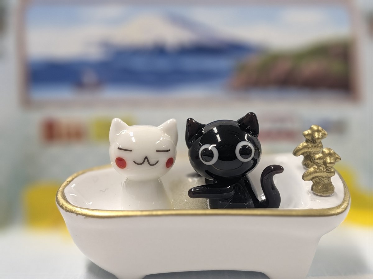 haru3sp's tweet photo. 頂き物🐱
背景入れるとリアルだね笑 https://t.co/SXFbLPoNWG