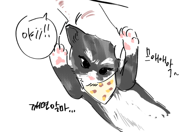 fyt_zuke's tweet photo. ㅈㄷ https://t.co/GZuJdg9fPQ