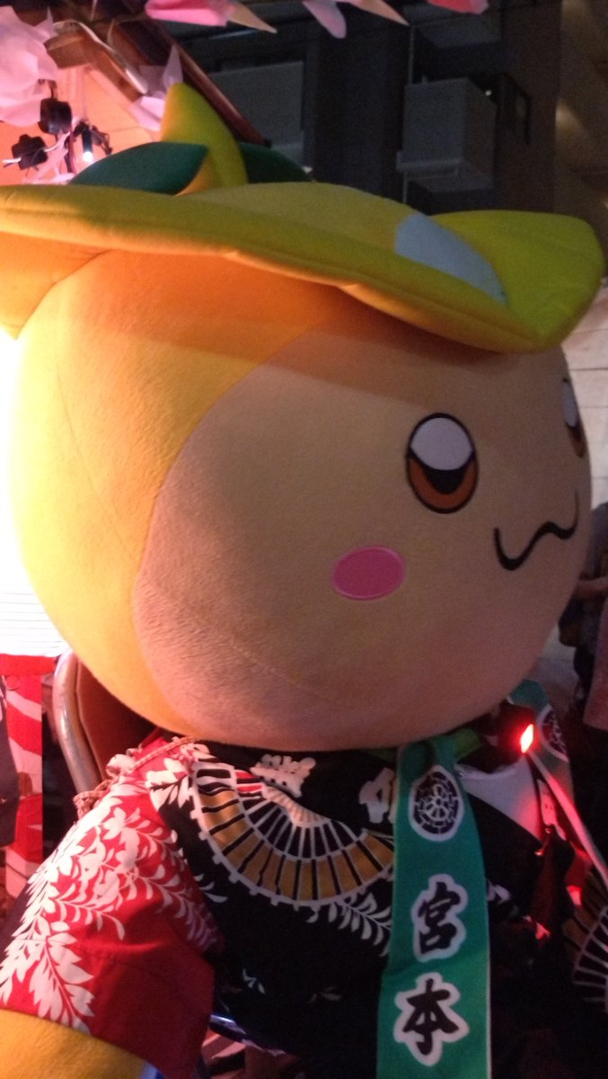 ryokuchanoha's tweet photo. ところんも撮ってきた😄 https://t.co/dUghLy8Bbh
