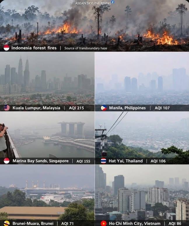 indepenSumatera's tweet photo. Karhutla Indonesia layak jadi bencana internasional https://t.co/8tm9aWnRNT