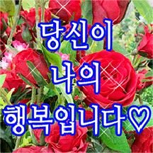 sora_2336's tweet photo. @kiirodr ㅁ무야저도내적친밀감지금MAX인데🫪🫪 https://t.co/mzOskkKi1u