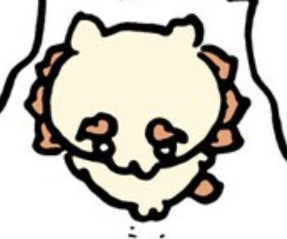 miumonsan's tweet photo. 天使か https://t.co/qoaXCE1KzC