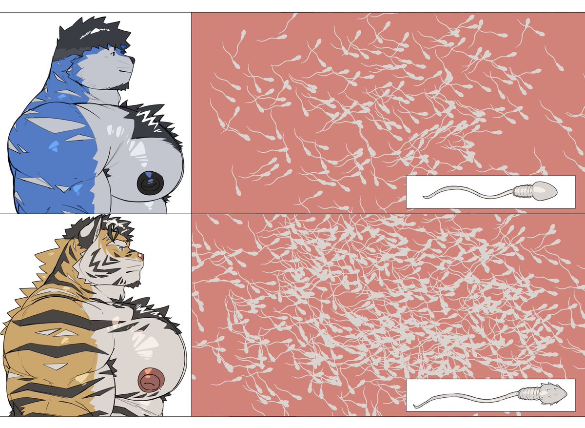 IMVERYWHALEUWU's tweet photo. Redraw + Cock chart https://t.co/DNjdn9bjt1