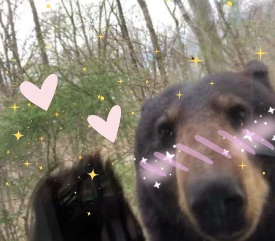 Monimonimoon's tweet photo. @myg_mich Будем дружить!! https://t.co/SE2mPvkjQ7