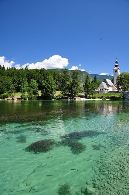 onllycutestuff's tweet photo. Lake Bohinj, Slovenia https://t.co/qrQaugg4NY