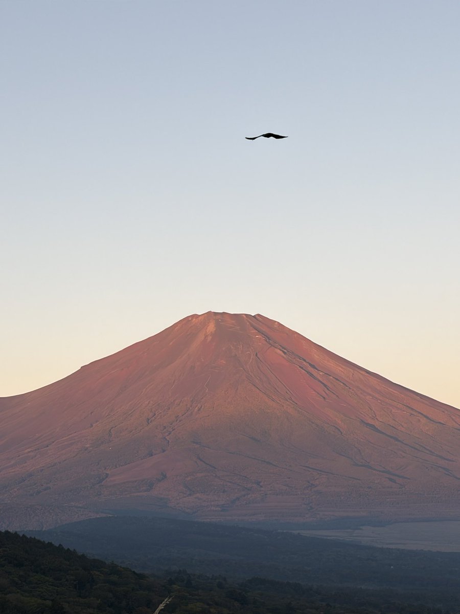 fujigokokankou's tweet photo. 山中湖明神山からの夜明の富士山。息を呑むほどに赤く染まって行きました。2026.10.11
#富士山 
#富士五湖 
#山中湖 
#mtfuji 
#赤富士 https://t.co/q0vZHKu6vK