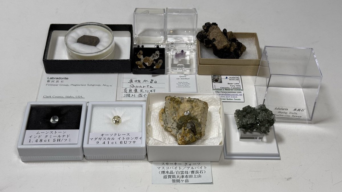 pupuyuuta's tweet photo. 京都石ふしぎ大発見展戦利品 https://t.co/jAh4ytqsa5