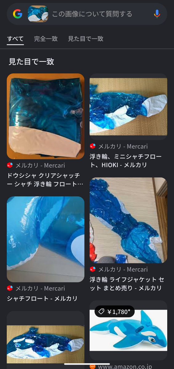 FloatiePopper's tweet photo. ちなみにGoogleレンズも見事に騙されてて笑った https://t.co/FZD5M4jZ6z