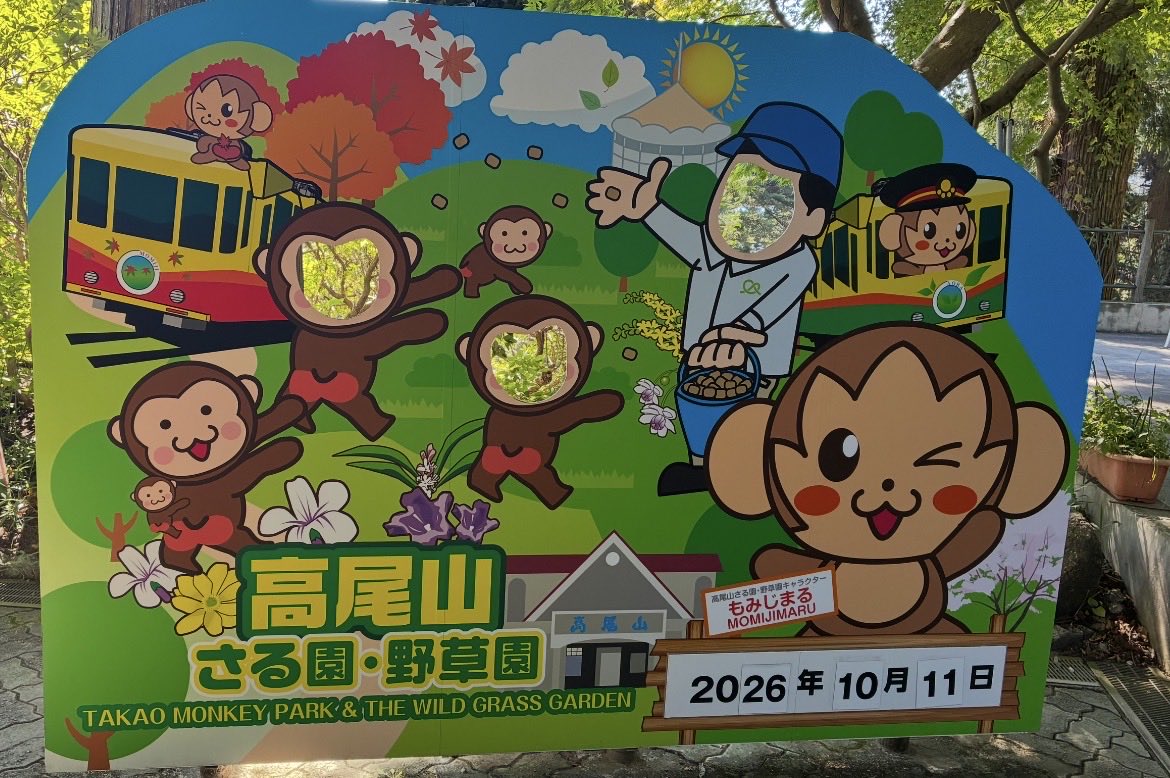 punch_kasumi's tweet photo. 高尾山に行ったのでさる園に立寄りました。
去年は全然興味なかったのでスルーしたんですけど…
今年産まれたゲルダちゃんとナッツくん、可愛かったです。
1Fは全面ガラス張りですぐ近くにお猿さんいて、飼育員さんのお話やお猿さんの芸もあり、エンターテインメントな感じでした。 https://t.co/sAt2UeEkT4