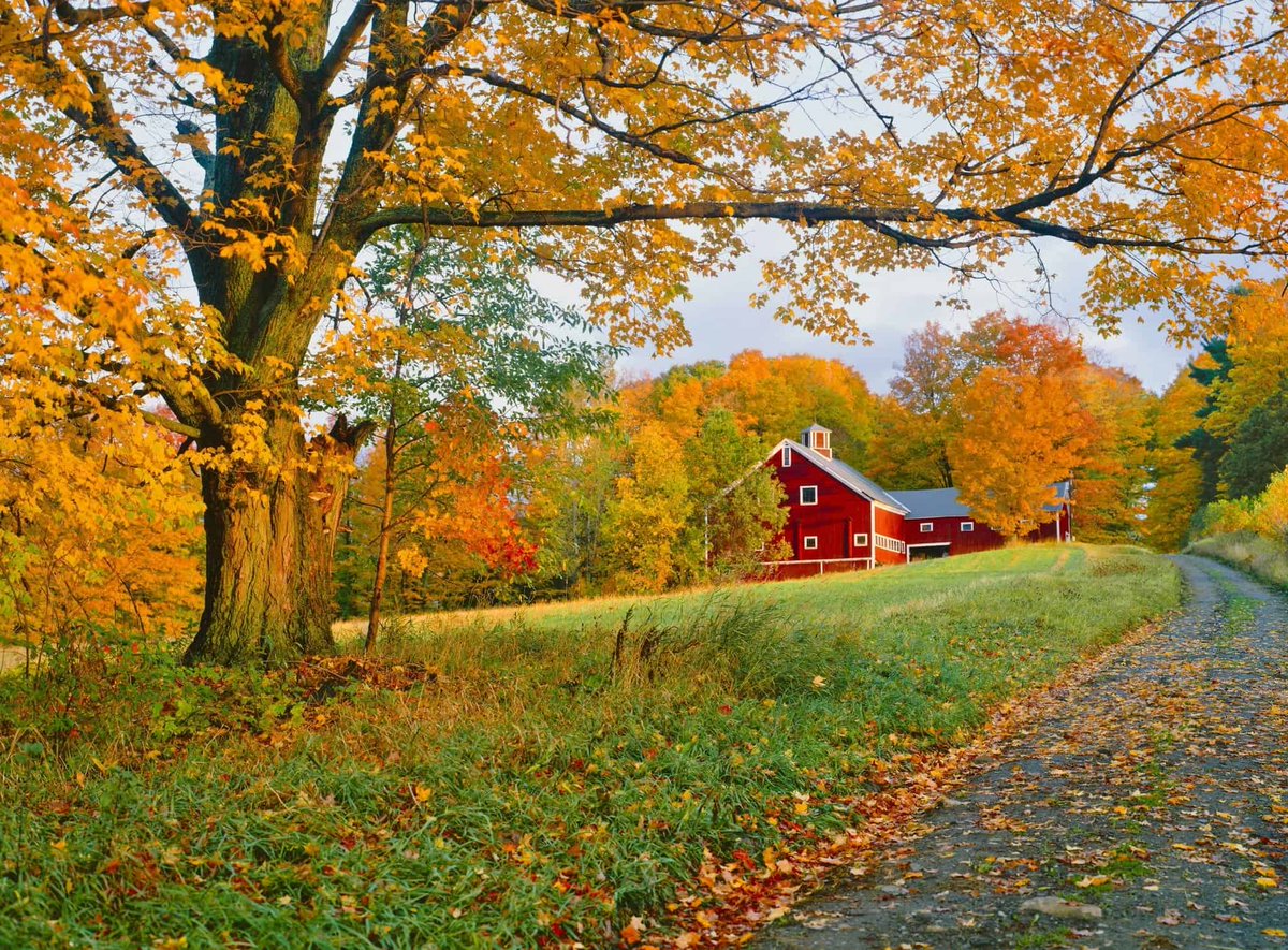 BarnsWallisMD's tweet photo. Posting a barn every day of 2026 https://t.co/LJkJqpO5KK