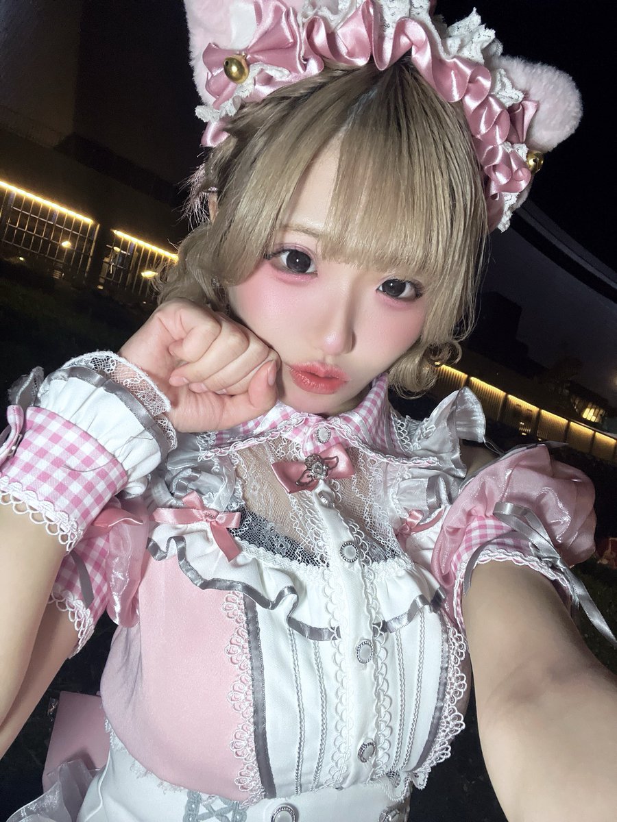 maid_otogi's tweet photo. にゃん？ https://t.co/NLogrKZPkK
