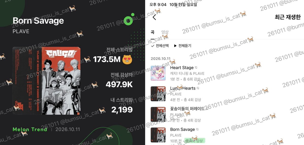 bumsu_is_cat's tweet photo. 9시 기다리다 깜빡 졸앗더..🥱 https://t.co/el8V2LIaf0