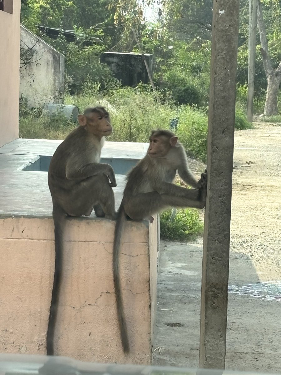 ahilanaji's tweet photo. Village thinnai❤️❤️❤️ https://t.co/6N07waysgR